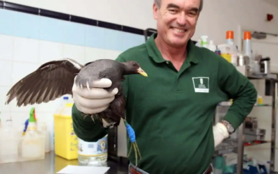 El veterinario Calabuig, absuelto de un delito contra la integridad moral