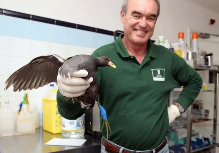 El veterinario Calabuig, absuelto de un delito contra la integridad moral